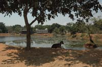 01 AUROVILLE