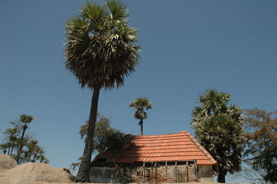 05 MAHABALIPURAM